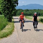 Le peloton de près