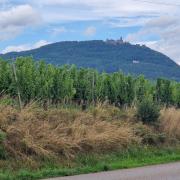 Chateau du Haut-Koenigsbourg