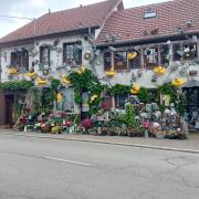 Des arrosoirs et des canards à Rougemont.