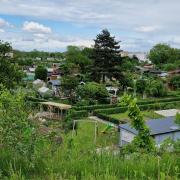 Les jardins de Neuenburg