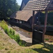 Un lavoir à Guewenheim