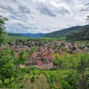 Toujours Riquewihr