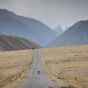 Le peloton au complet