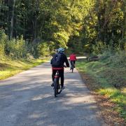 Montée de Gildwiller sur le Mont