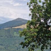 Toujours le grand Ballon