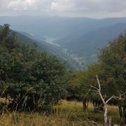 Wildenstein vue de la route des crêtes